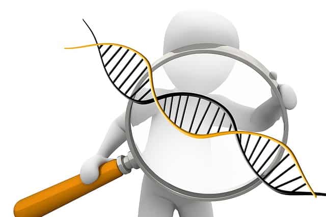 着床前診断はCGHからNGS（next-generation-sequencing）が主流となるでしょう。