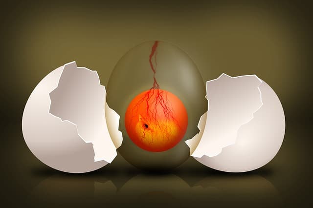 卵子なしで生殖可能に？＝マウス実験成功！？