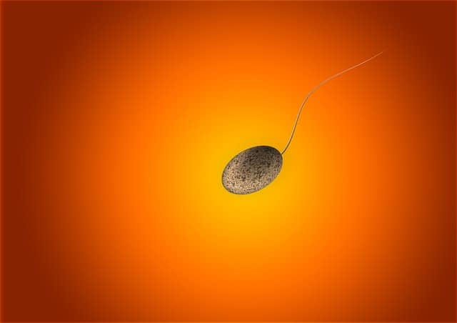 2018年1月に読んだ「精子」に関する興味ある5つの記事